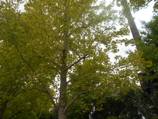 �`�����ƈꏏ�Ɂ`