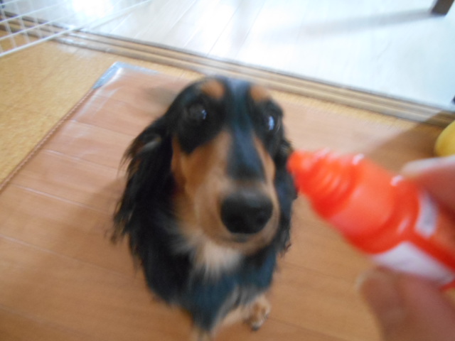 �`�����ƈꏏ�Ɂ`