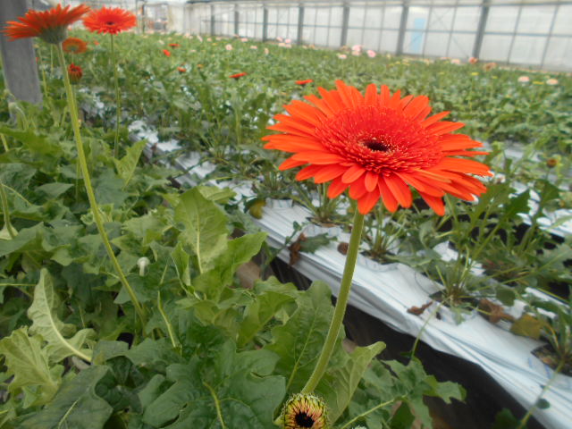 �`�����ƈꏏ�Ɂ`