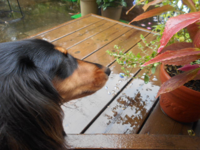 �`�����ƈꏏ�Ɂ`