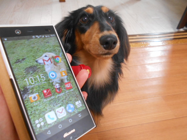 �`�����ƈꏏ�Ɂ`