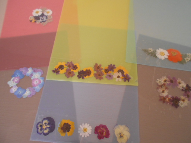 �`�����ƈꏏ�Ɂ`