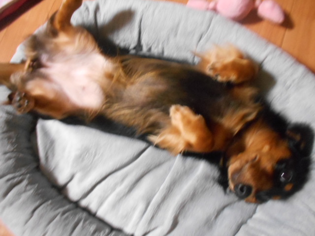 �`�����ƈꏏ�Ɂ`