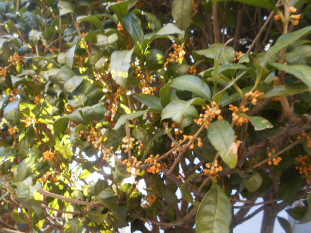 �`�����ƈꏏ�Ɂ`