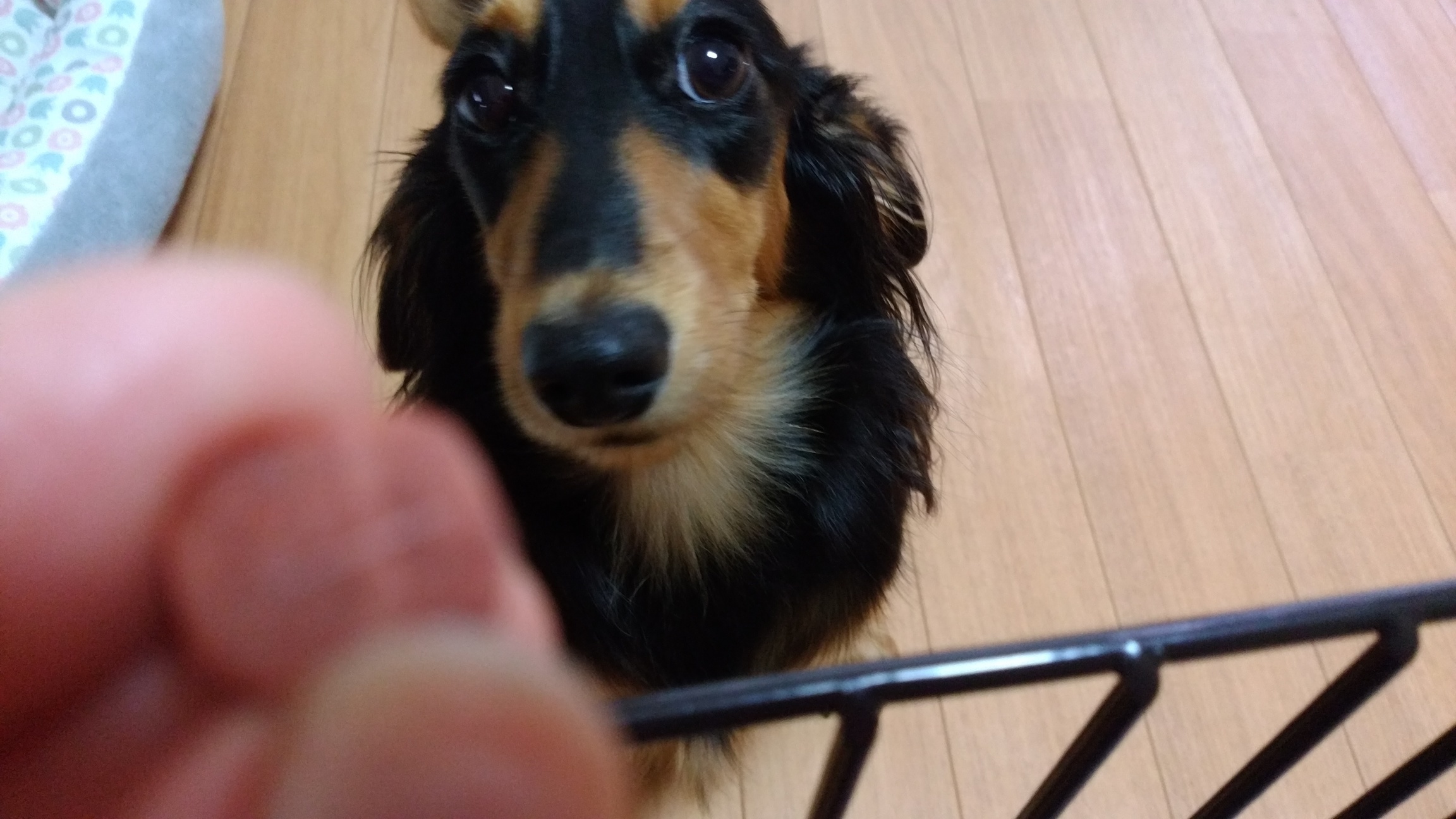 �`�����ƈꏏ�Ɂ`