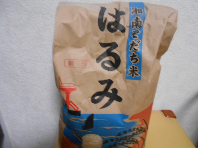 �`�����ƈꏏ�Ɂ`