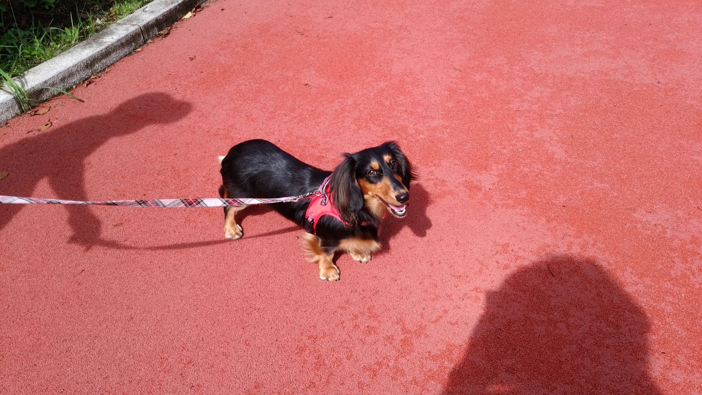 �`�����ƈꏏ�Ɂ`