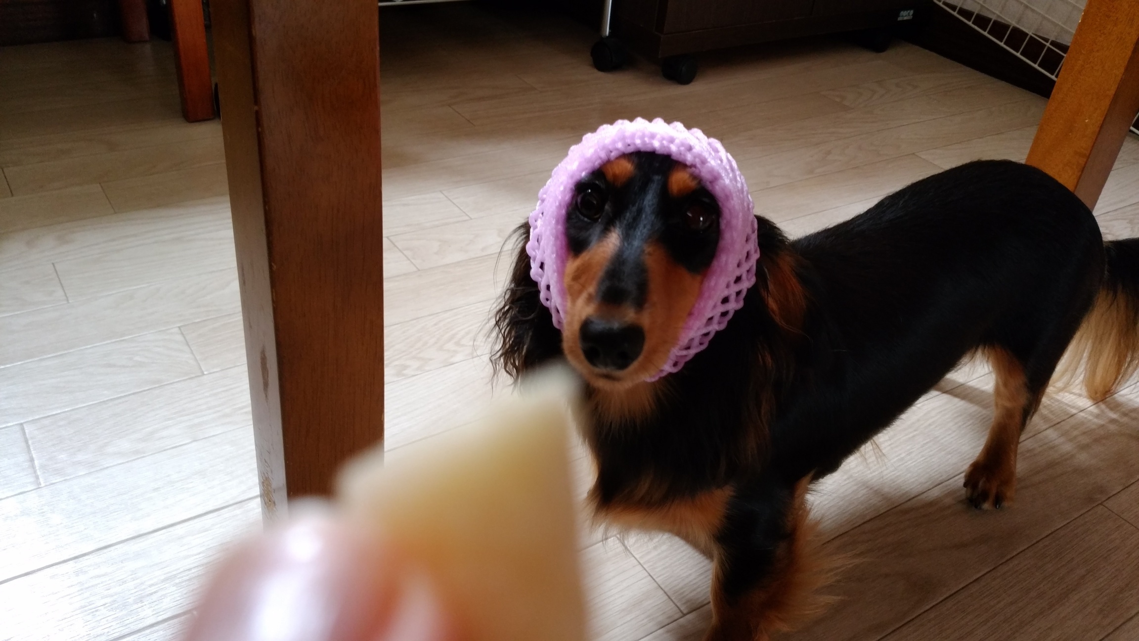 �`�����ƈꏏ�Ɂ`