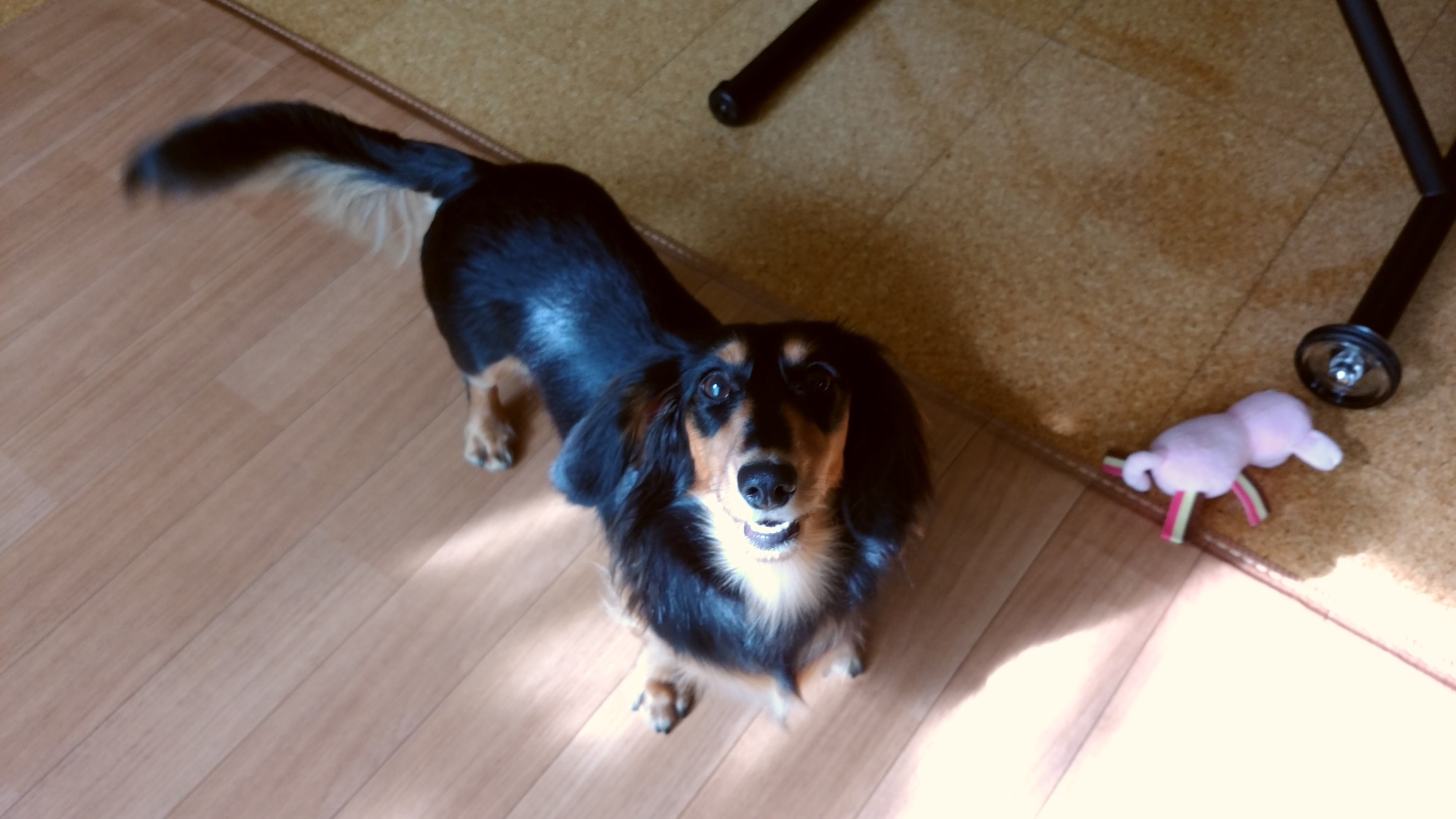 �`�����ƈꏏ�Ɂ`