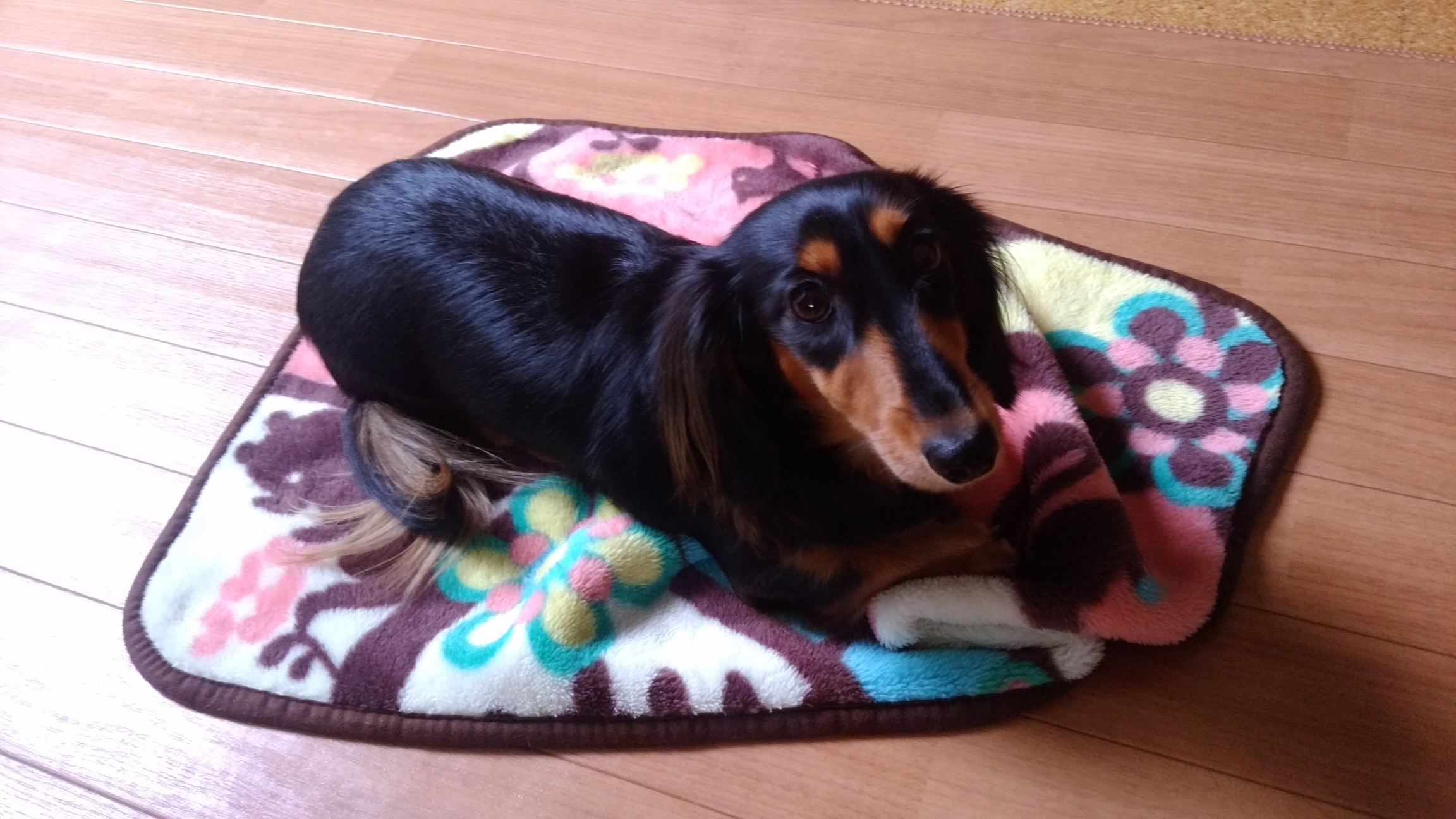 �`�����ƈꏏ�Ɂ`