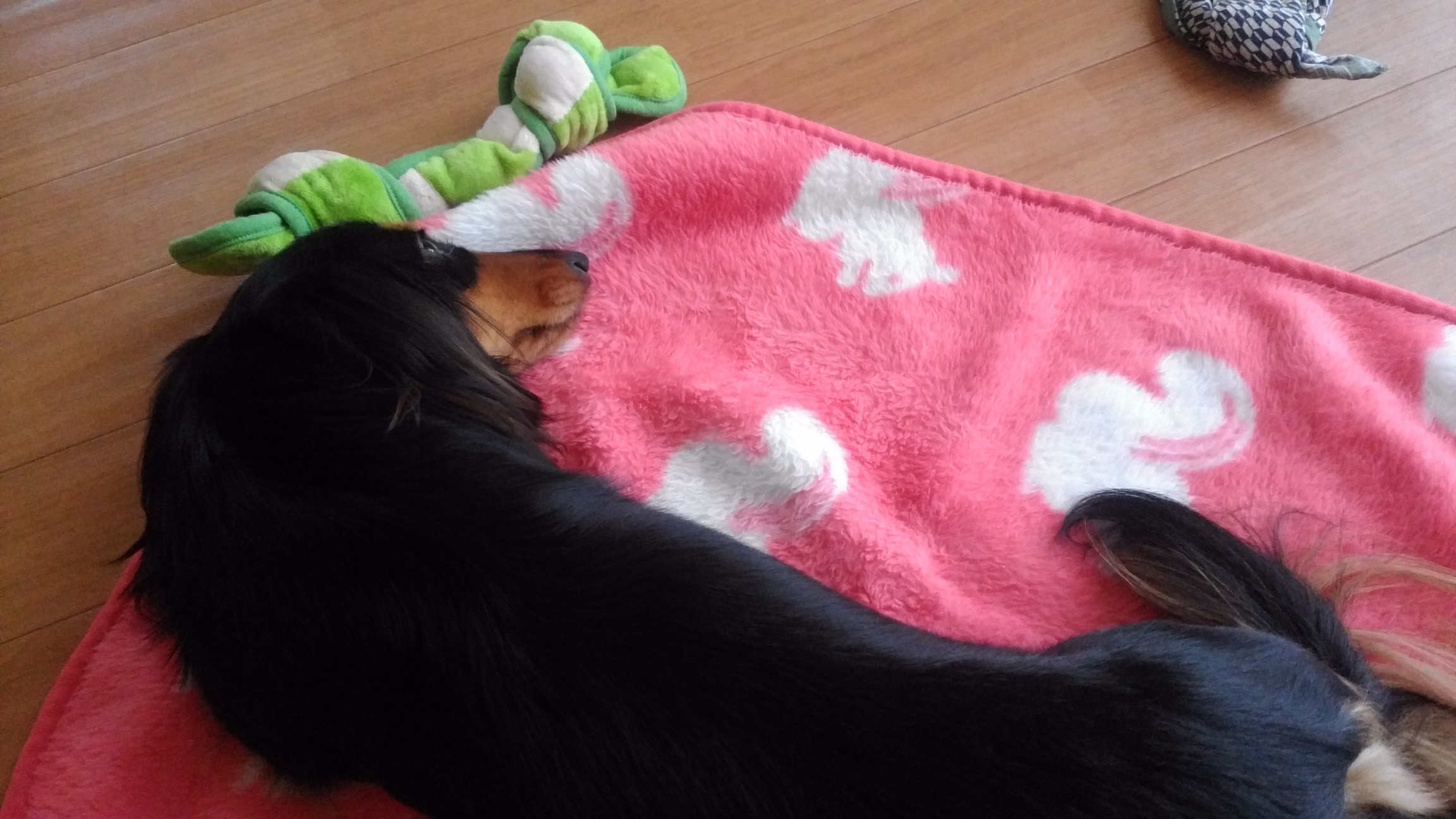 �`�����ƈꏏ�Ɂ`