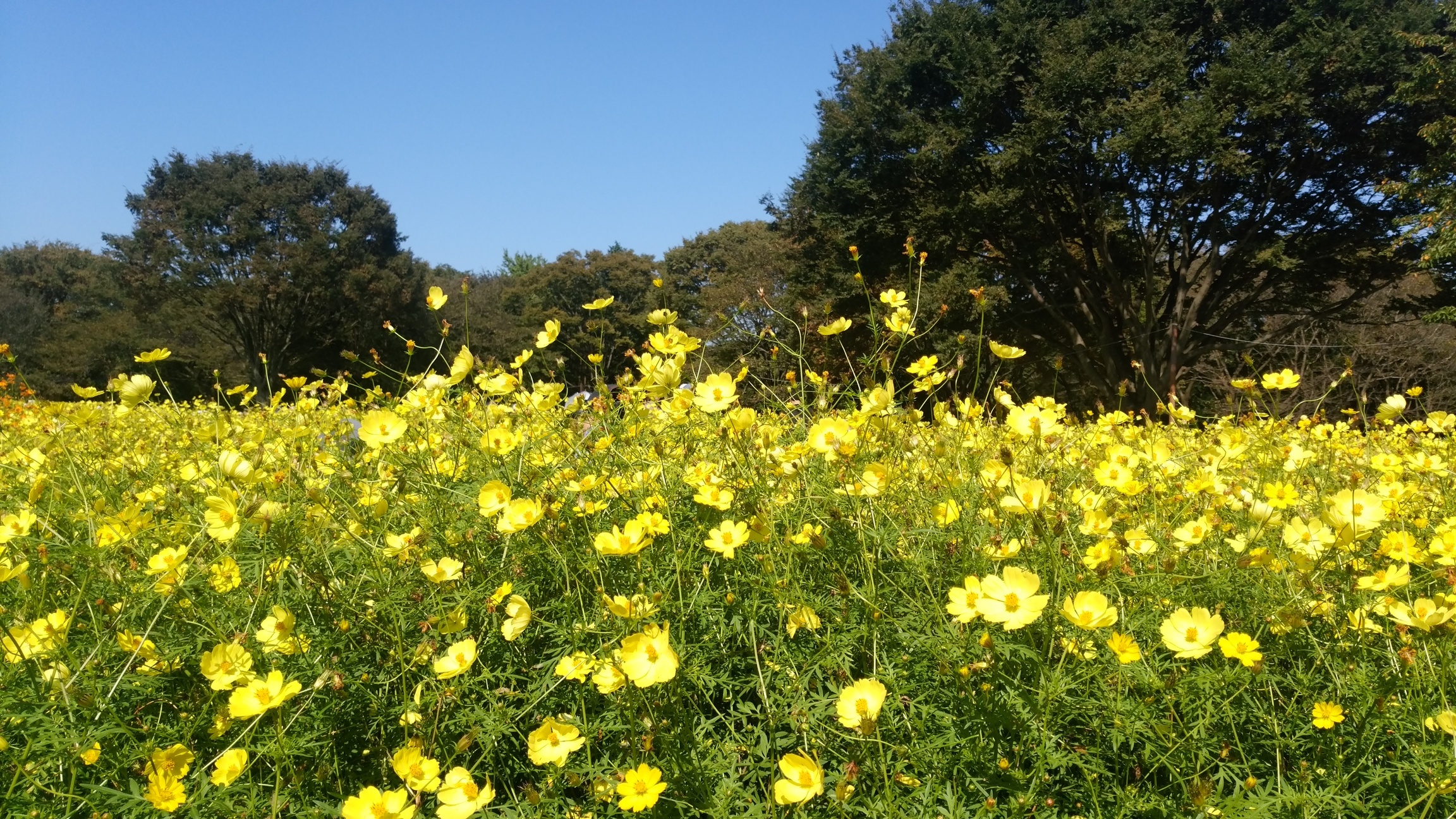 �`�����ƈꏏ�Ɂ`