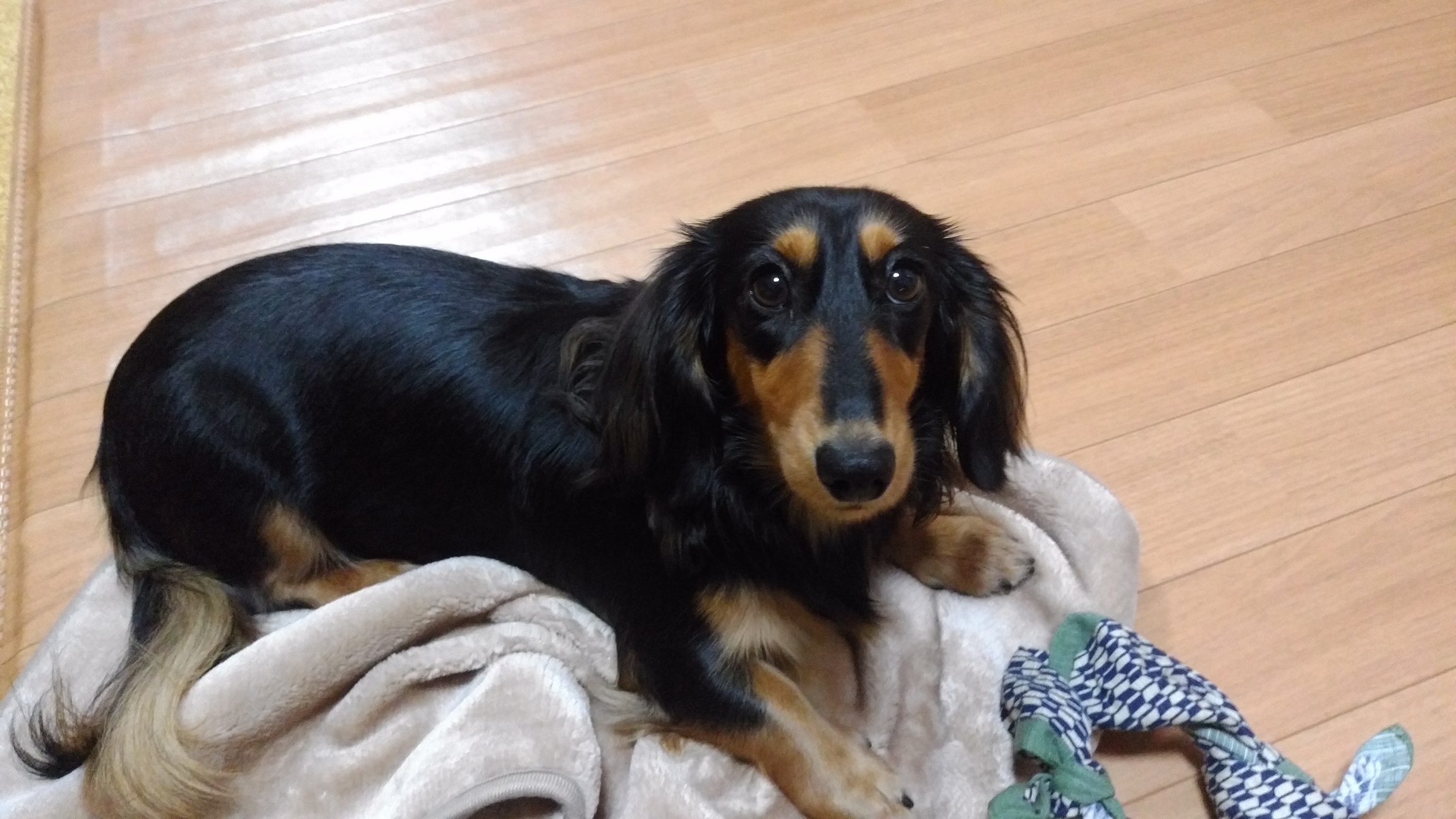 �`�����ƈꏏ�Ɂ`