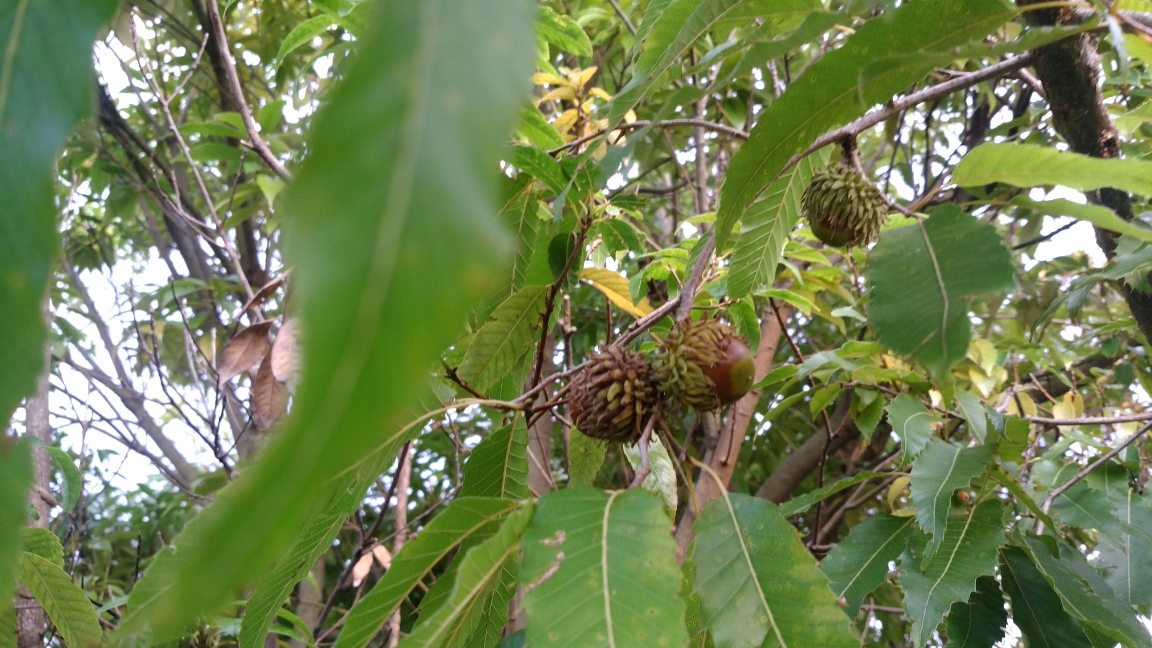 �`�����ƈꏏ�Ɂ`