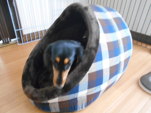 �`�����ƈꏏ�Ɂ`