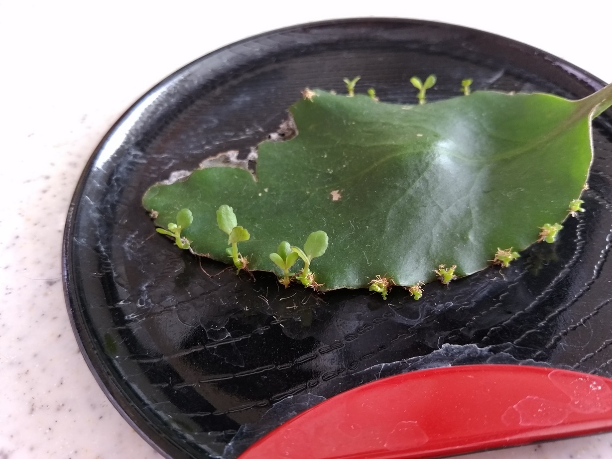 �`�����ƈꏏ�Ɂ`