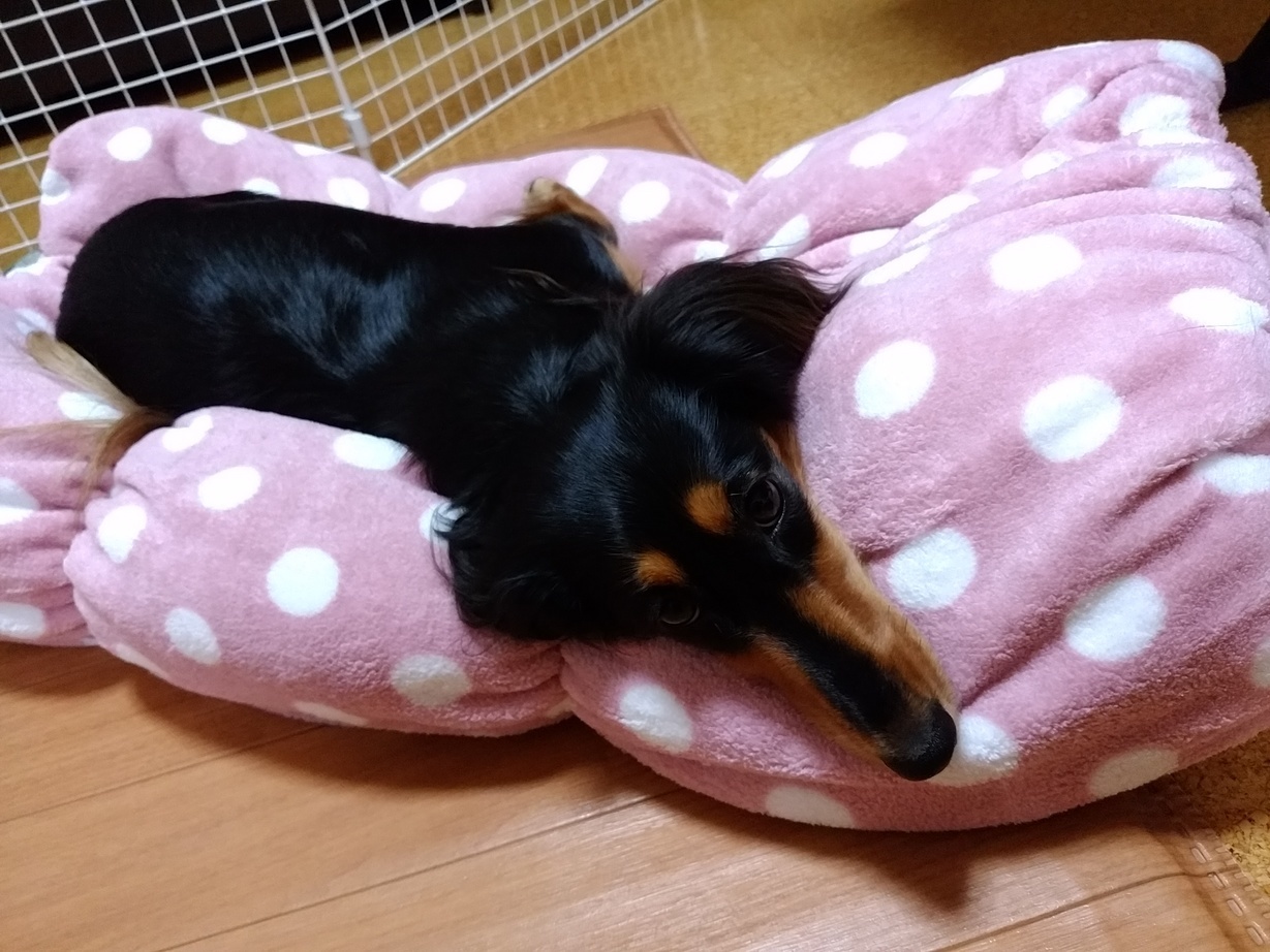 �`�����ƈꏏ�Ɂ`