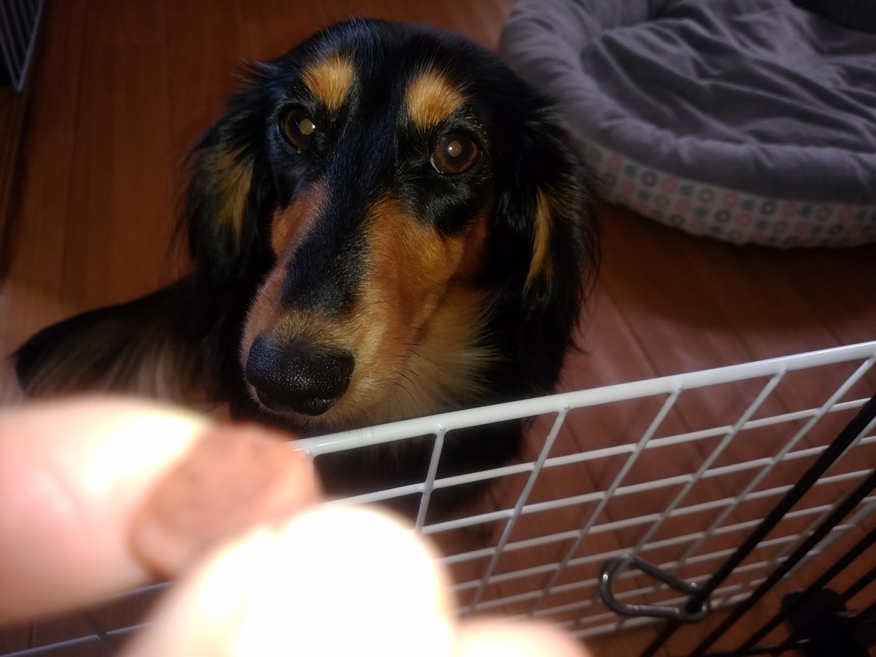 �`�����ƈꏏ�Ɂ`