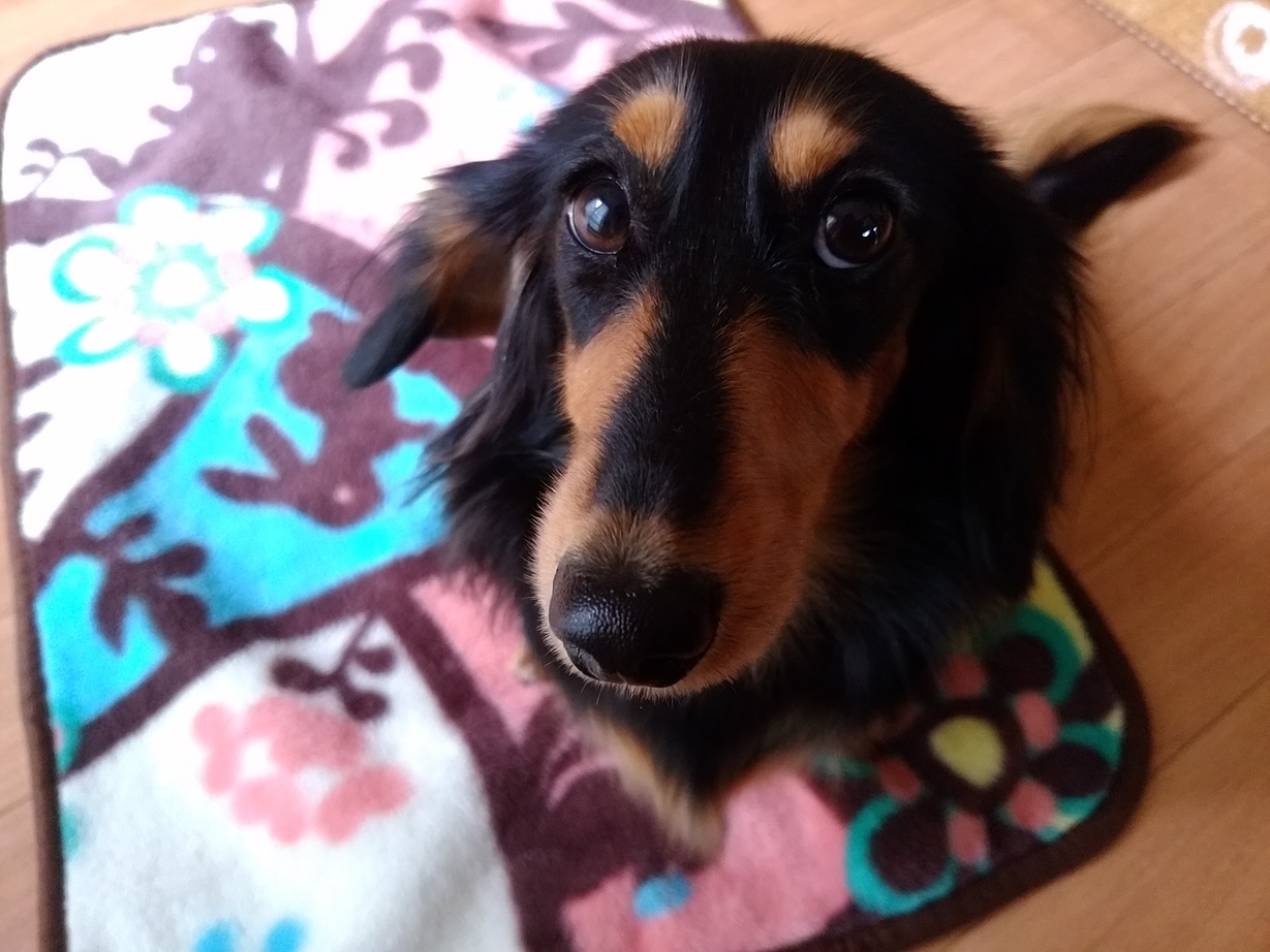 �`�����ƈꏏ�Ɂ`