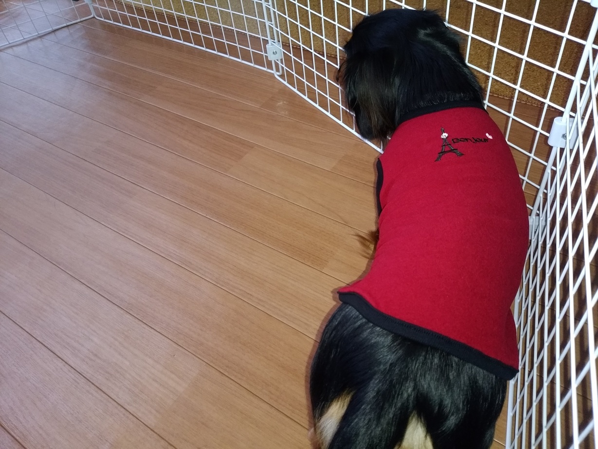 �`�����ƈꏏ�Ɂ`