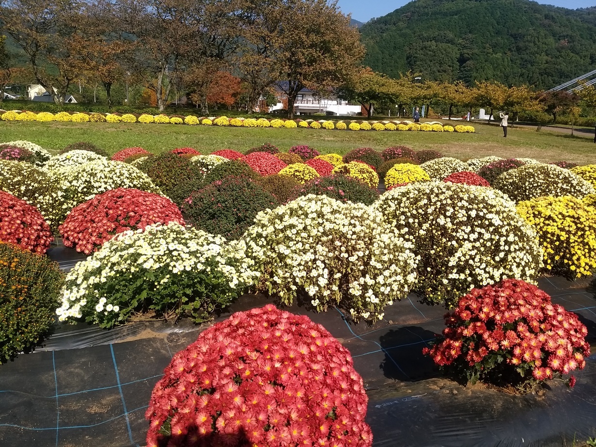 �`�����ƈꏏ�Ɂ`