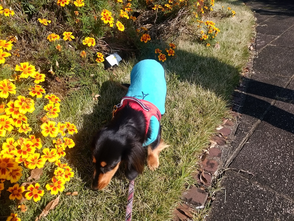 �`�����ƈꏏ�Ɂ`