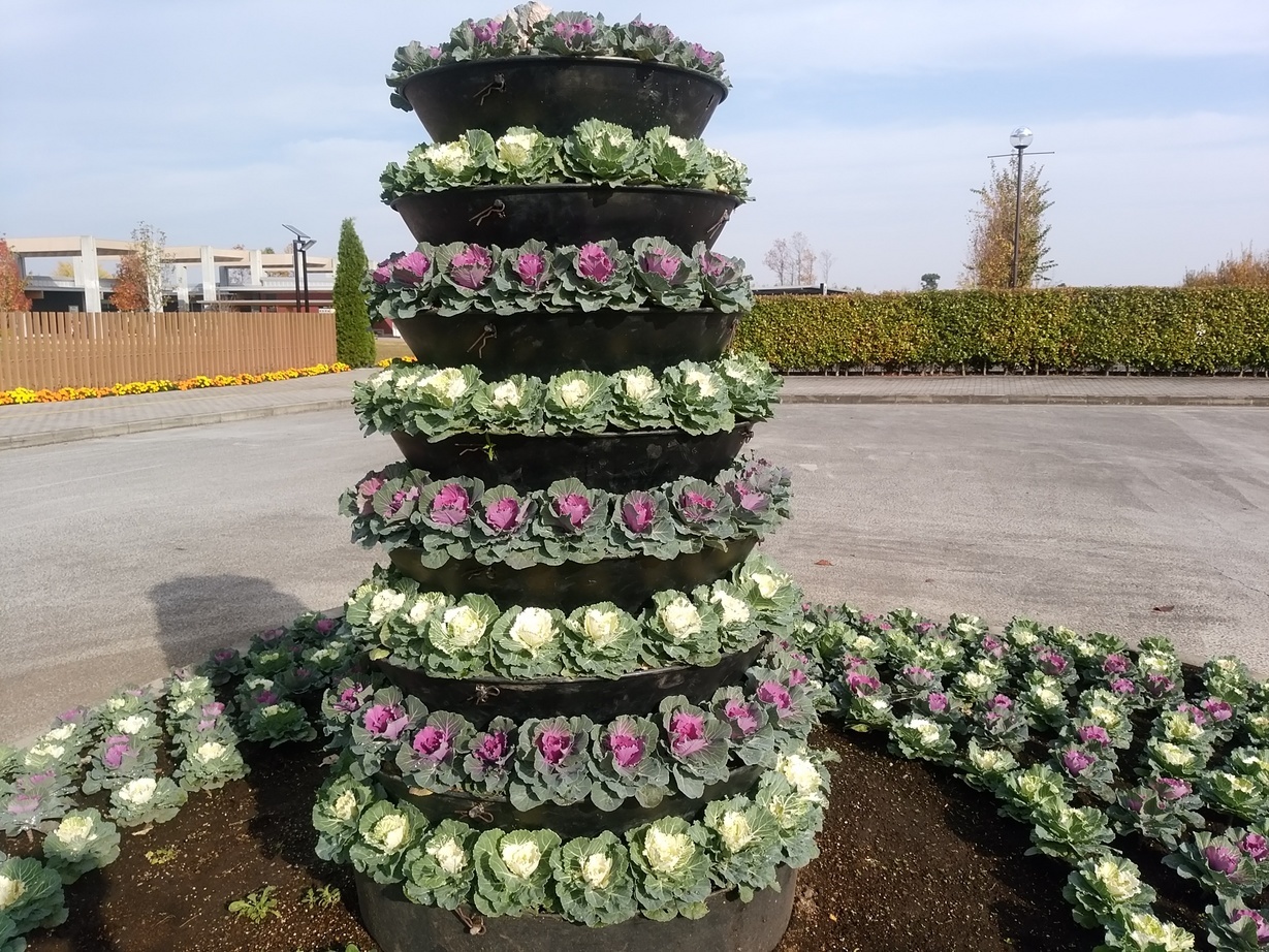 �`�����ƈꏏ�Ɂ`