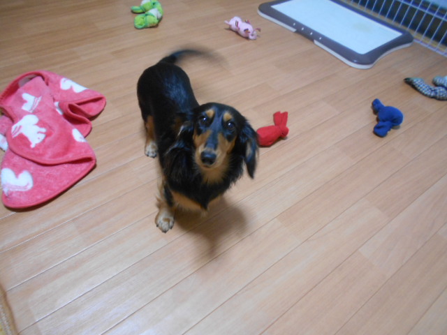 �`�����ƈꏏ�Ɂ`