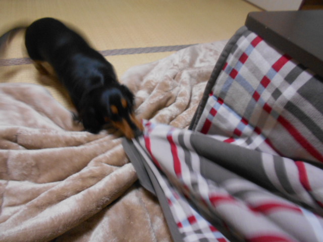 �`�����ƈꏏ�Ɂ`