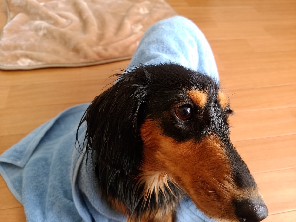 �`�����ƈꏏ�Ɂ`