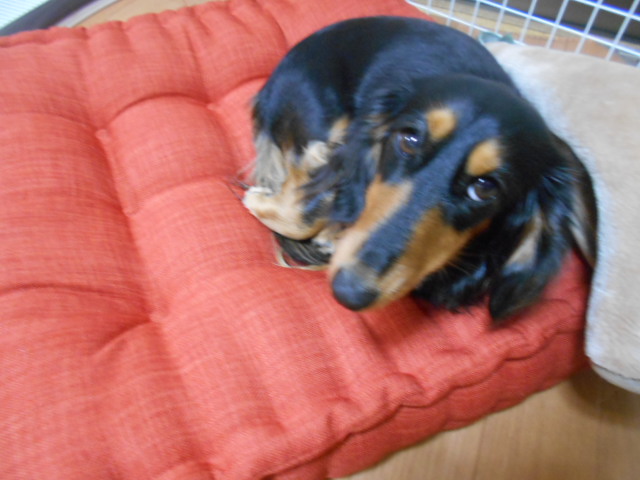 �`�����ƈꏏ�Ɂ`