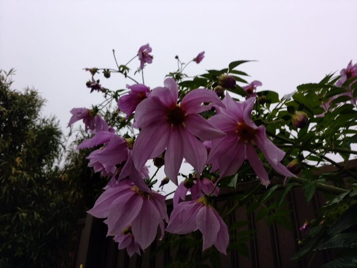 �`�����ƈꏏ�Ɂ`