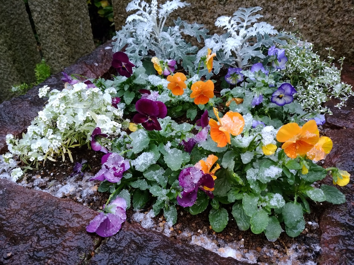 �`�����ƈꏏ�Ɂ`