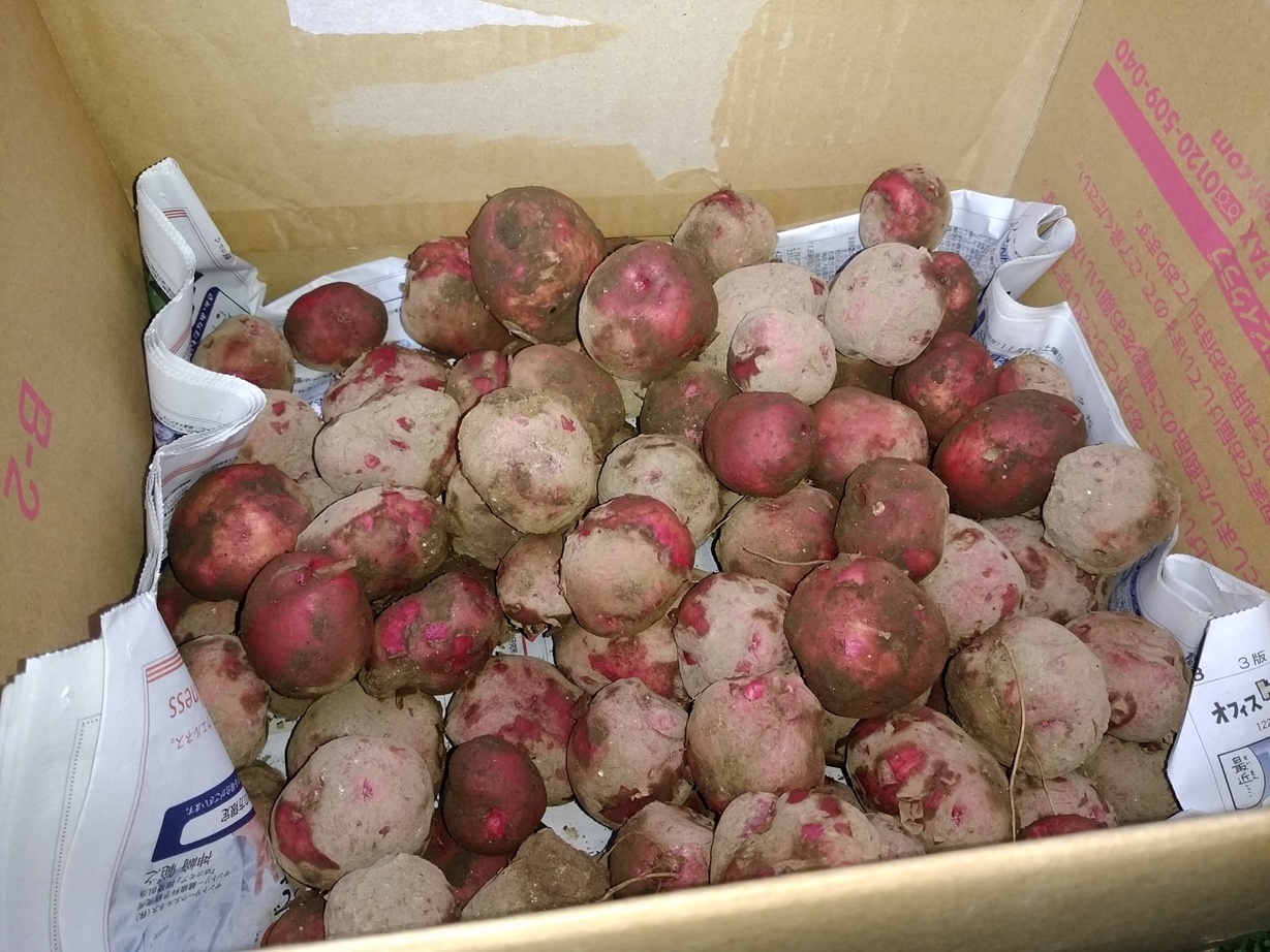 �`�����ƈꏏ�Ɂ`