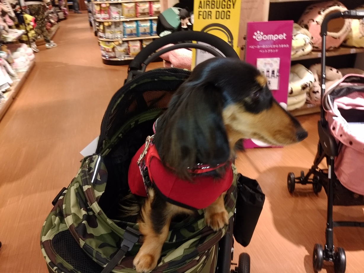 �`�����ƈꏏ�Ɂ`