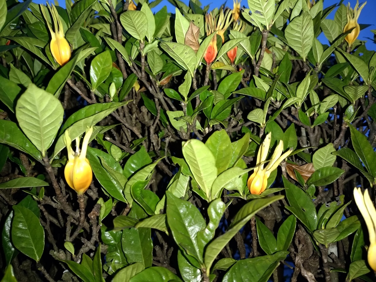 �`�����ƈꏏ�Ɂ`