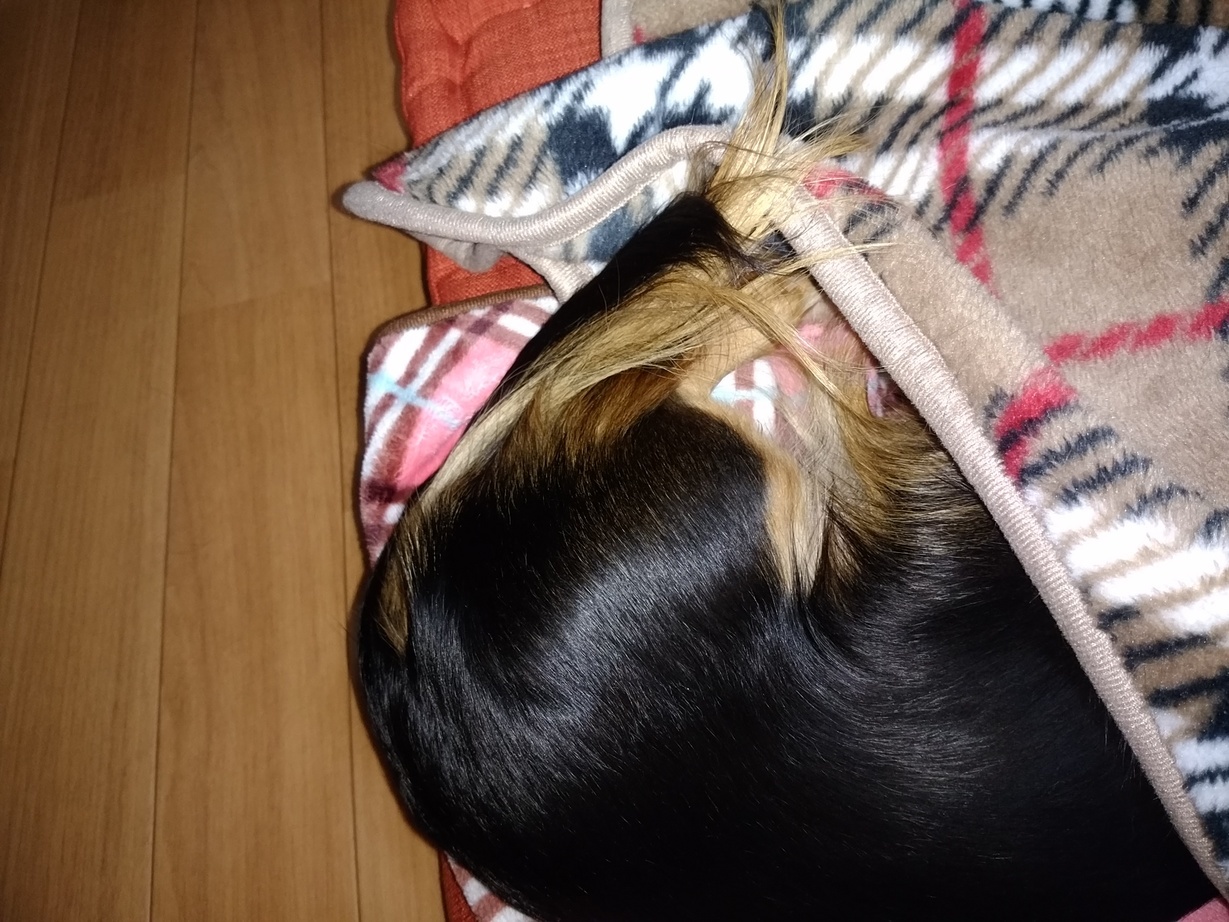 �`�����ƈꏏ�Ɂ`