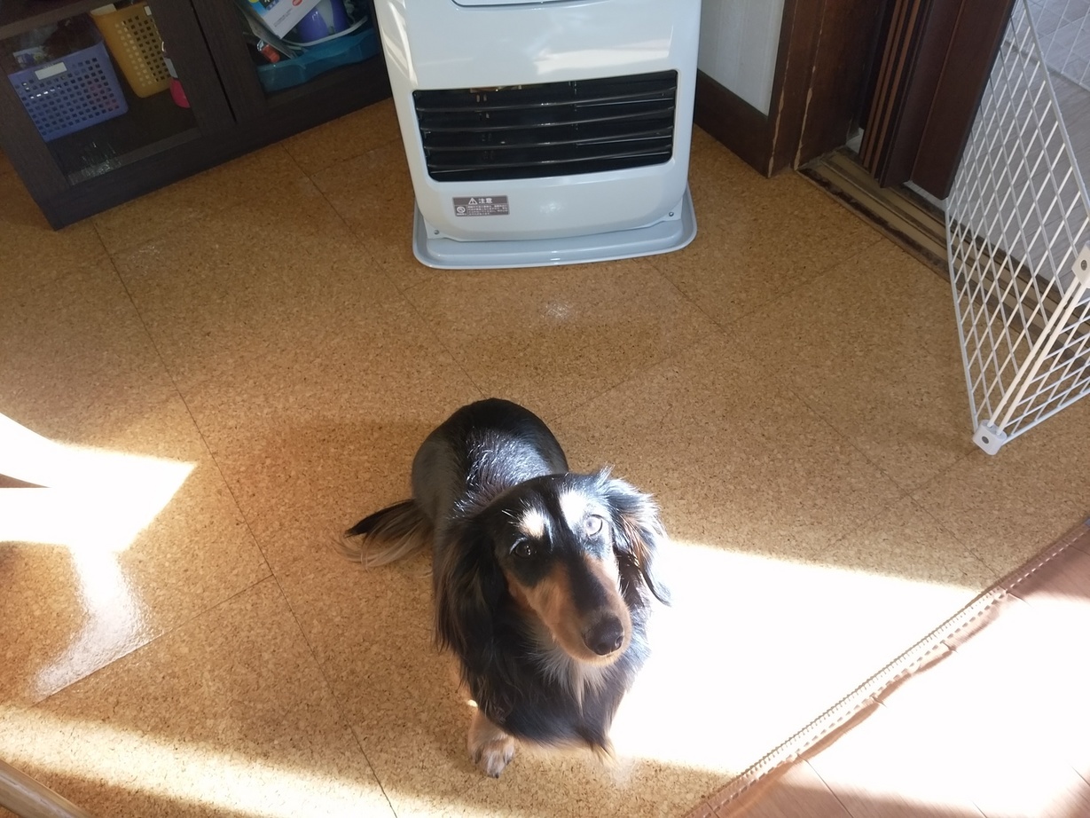 �`�����ƈꏏ�Ɂ`