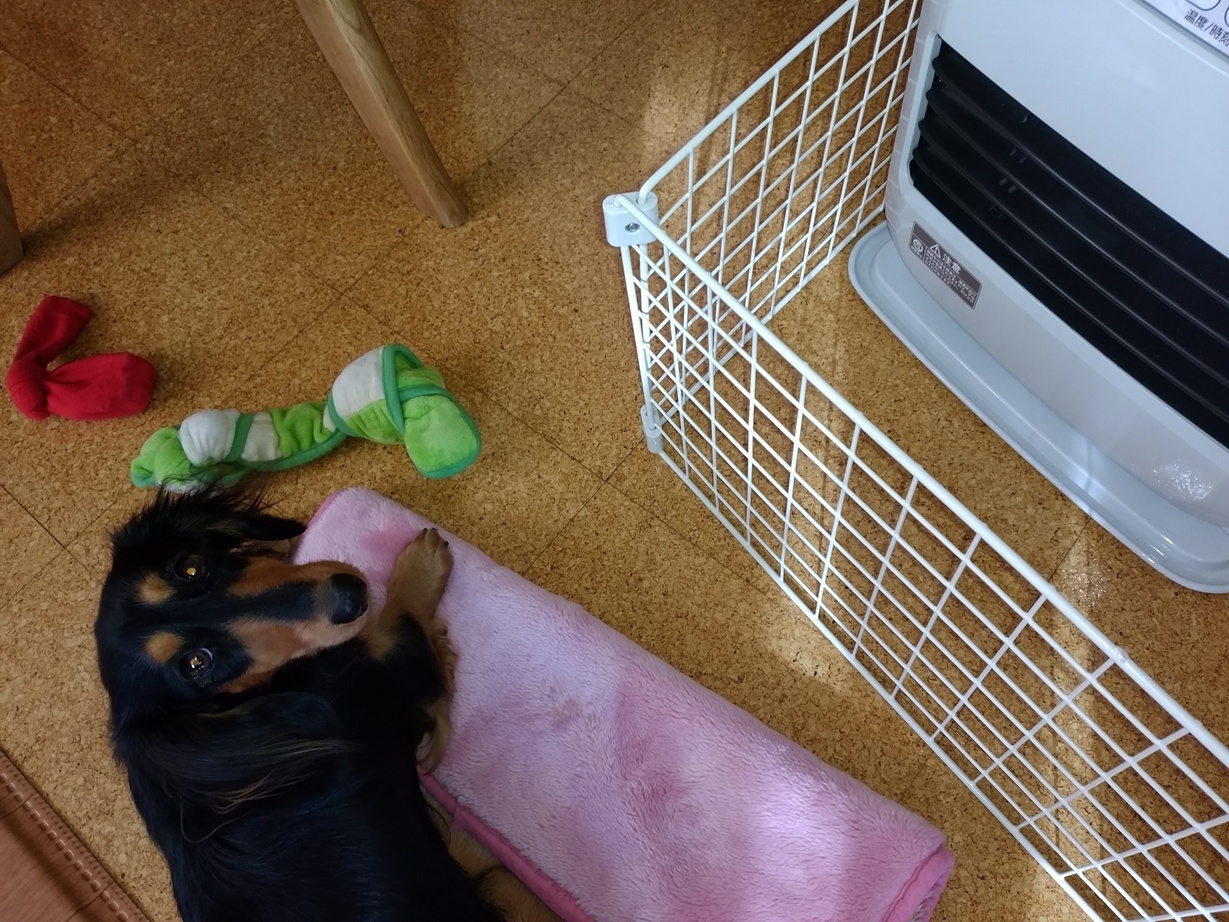 �`�����ƈꏏ�Ɂ`