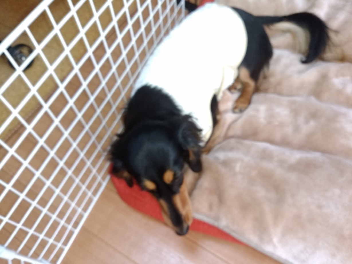 �`�����ƈꏏ�Ɂ`