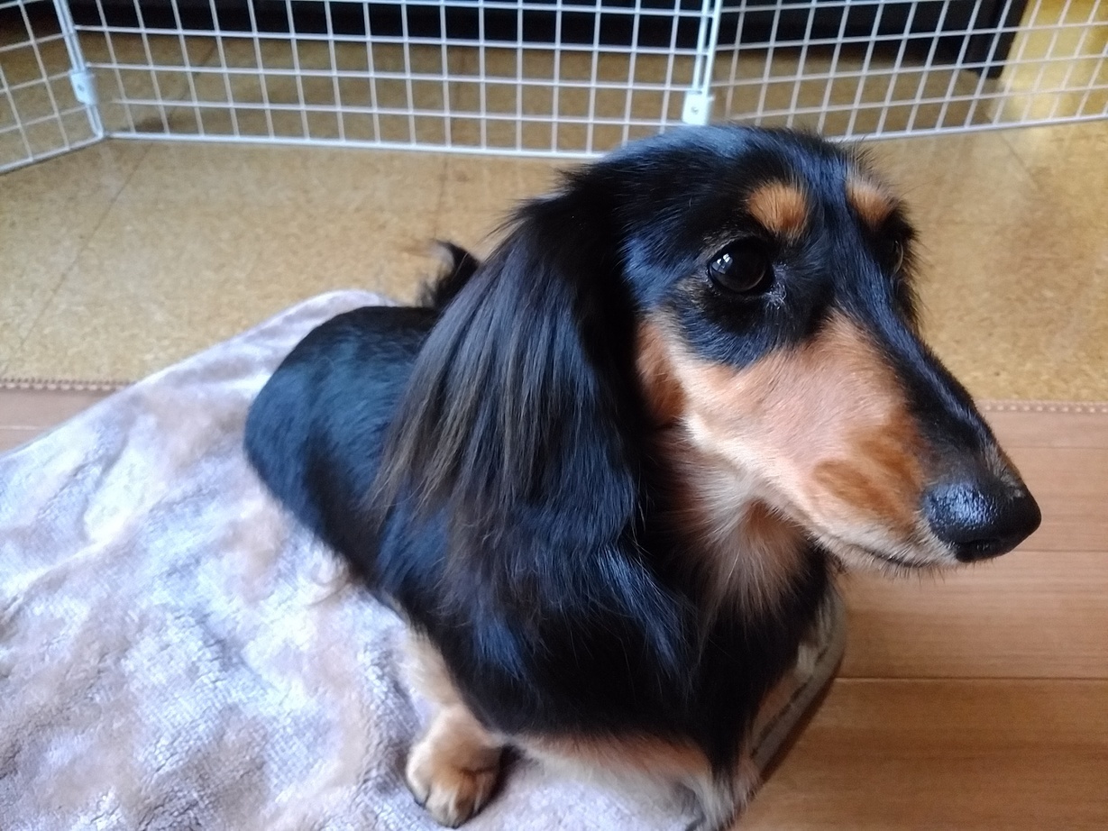 �`�����ƈꏏ�Ɂ`