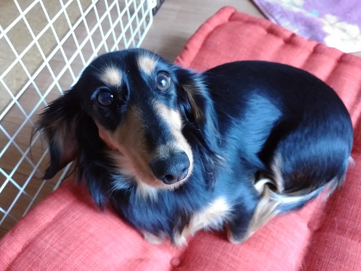 �`�����ƈꏏ�Ɂ`