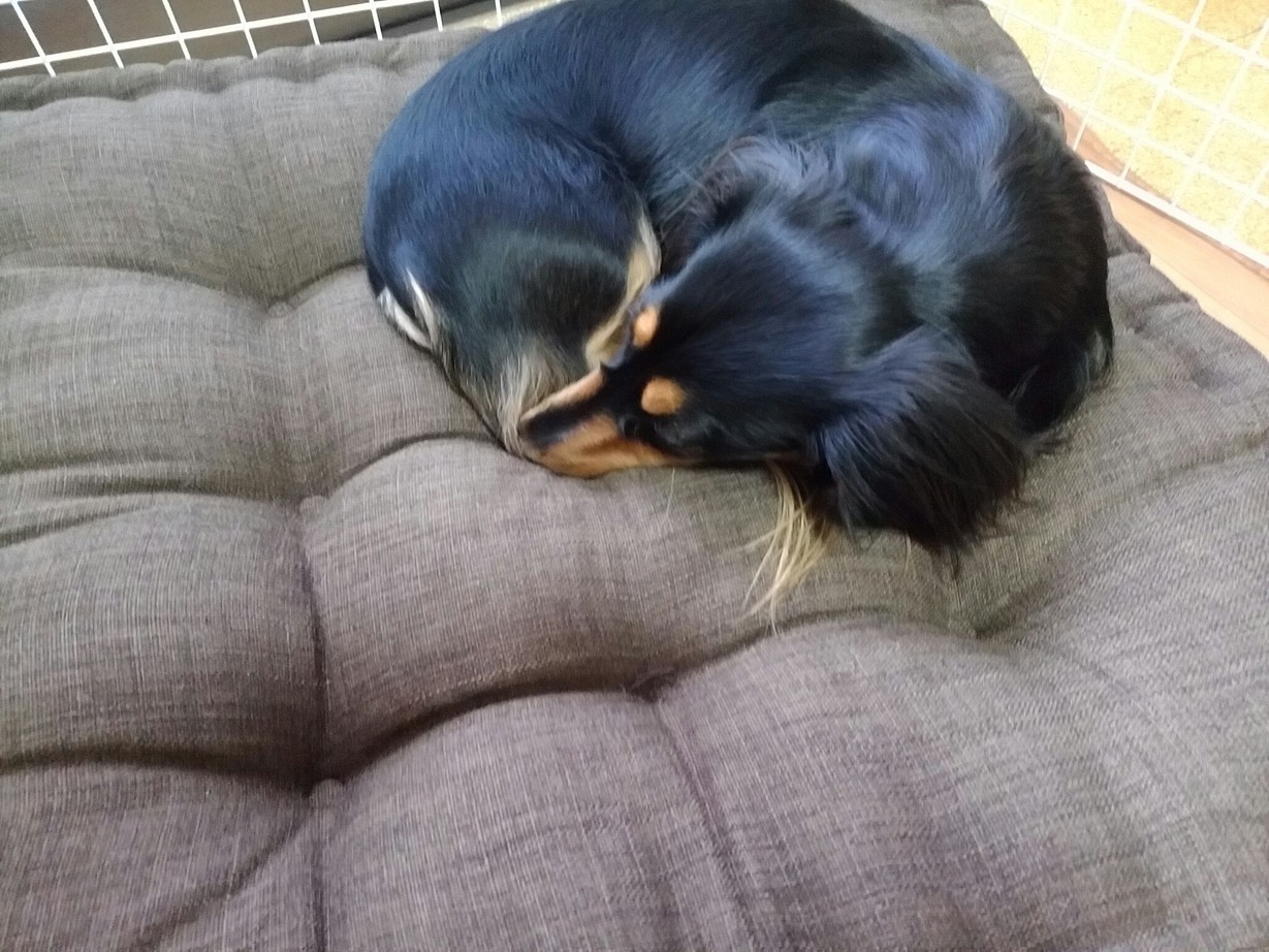 �`�����ƈꏏ�Ɂ`