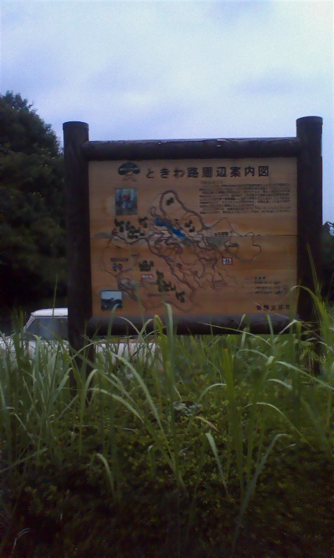 ���N�^�������߂ĘV�Q�^�t��