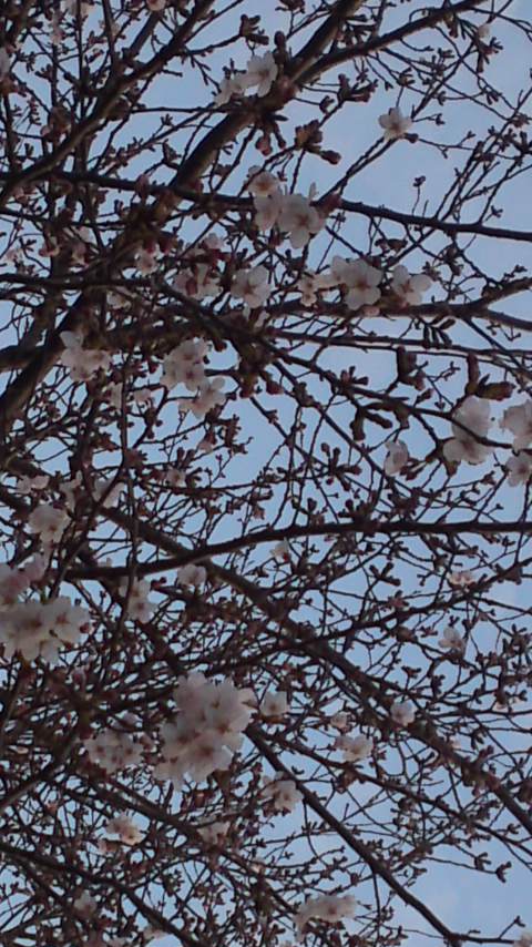 ���N�^�������߂ĘV�Q�^�t��