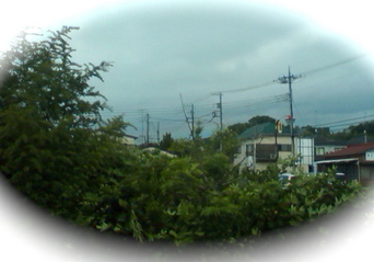 ���N�^�������߂ĘV�Q�^�t��