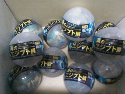 ���N�^�������߂ĘV�Q�^�t��