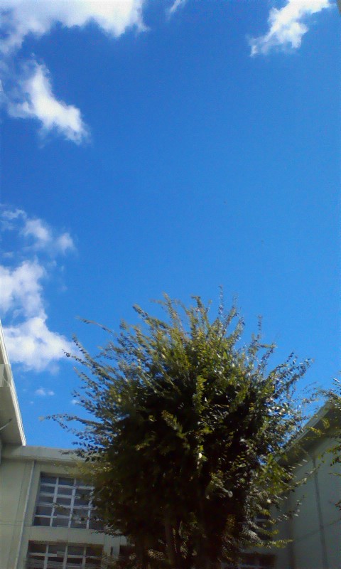 ���N�^�������߂ĘV�Q�^�t��