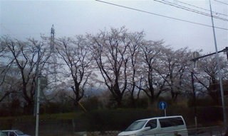 ���N�^�������߂ĘV�Q�^�t��