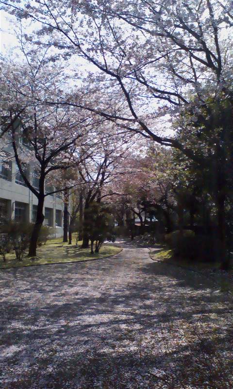 ���N�^�������߂ĘV�Q�^�t��